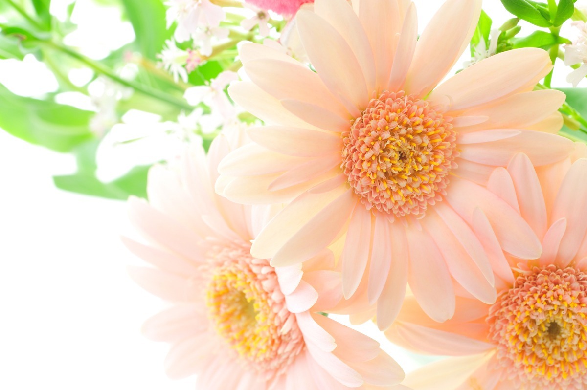 祖母になる 母のために