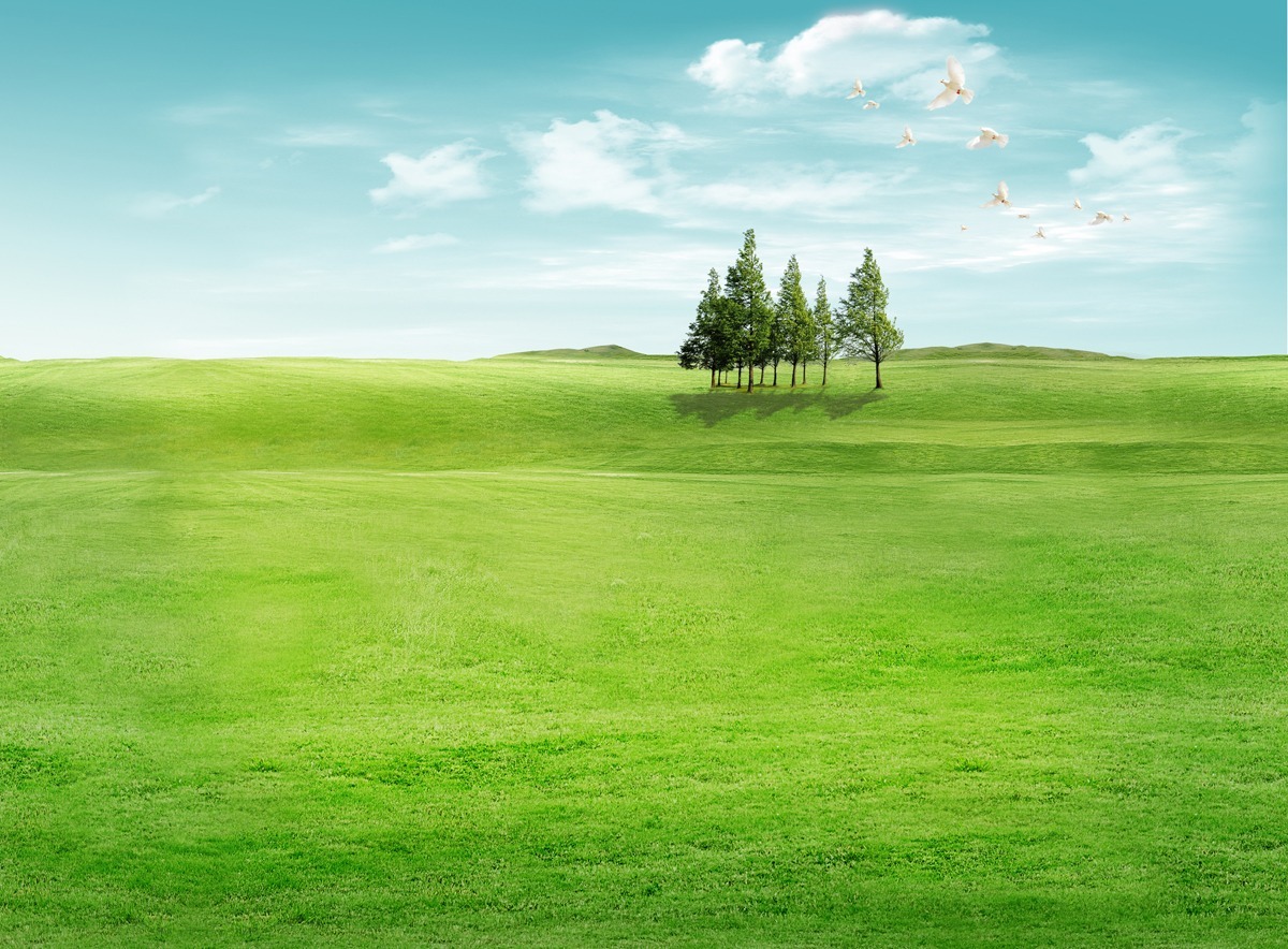 母と娘の関係を考える