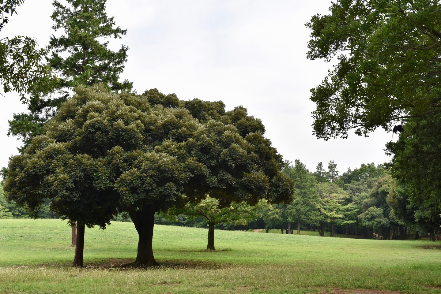 バースプランを書こう! でもその前に